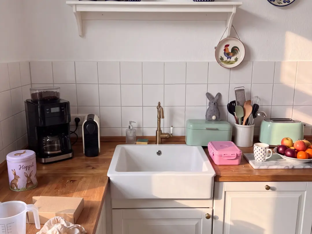 The kitchen of the flat
